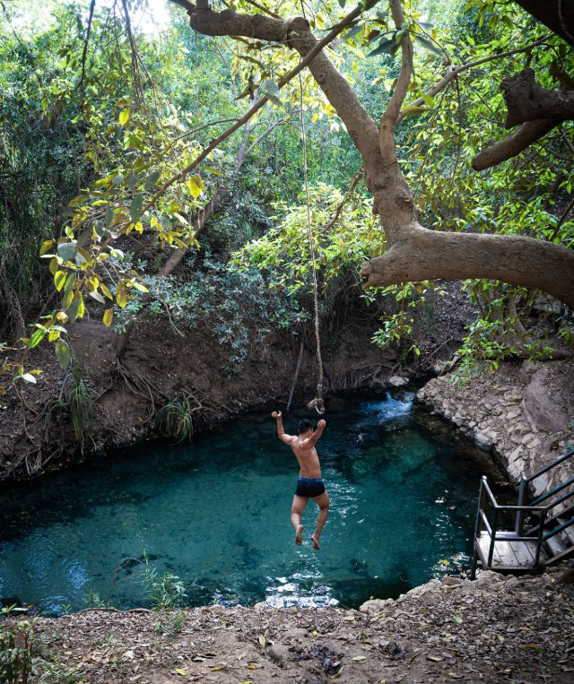 A person jumps into a clear turquoise swimming hole surrounded by dense green forest, large tree branches, and rocky banks.