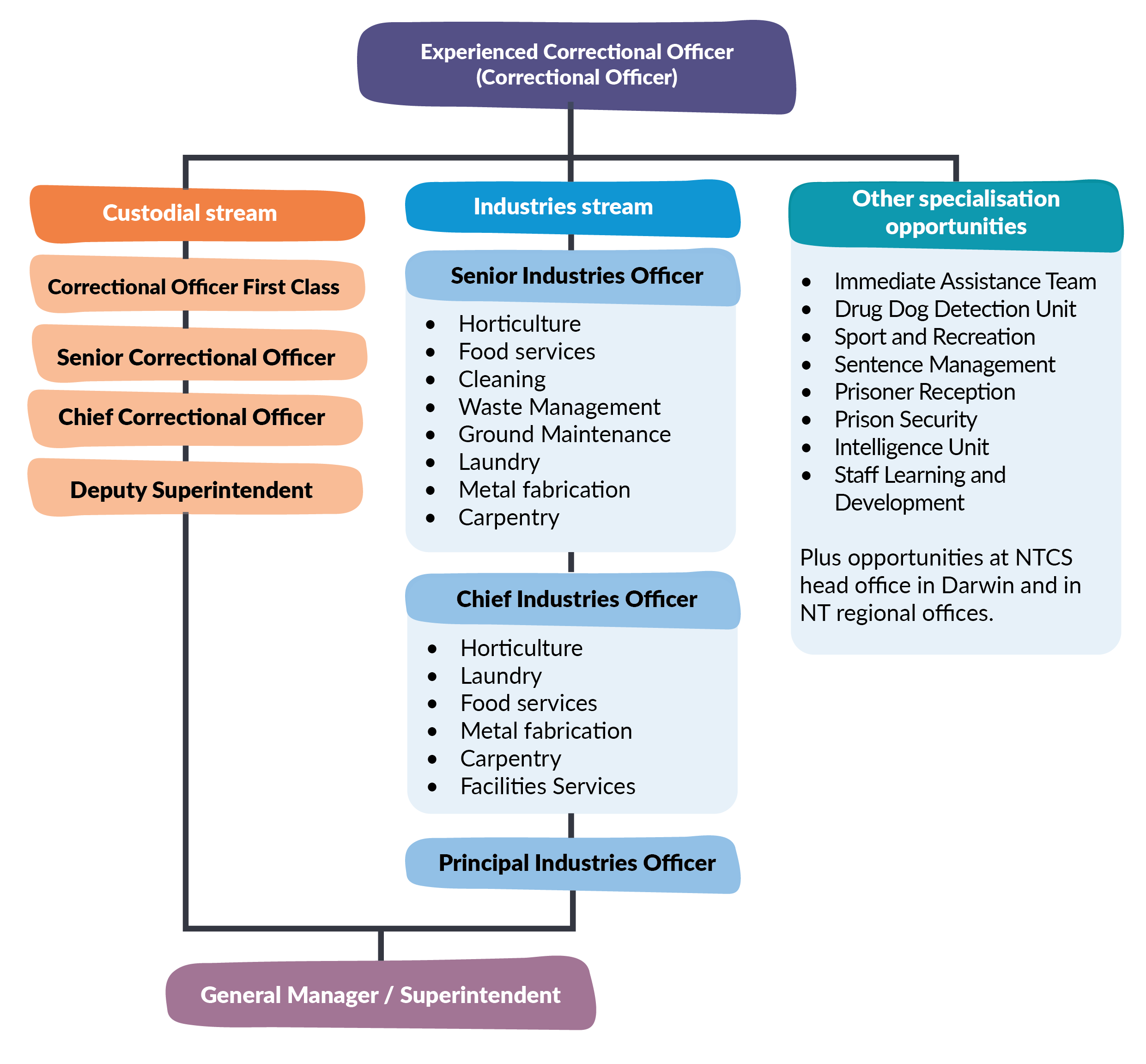 Experienced Correctional Officer pathway image