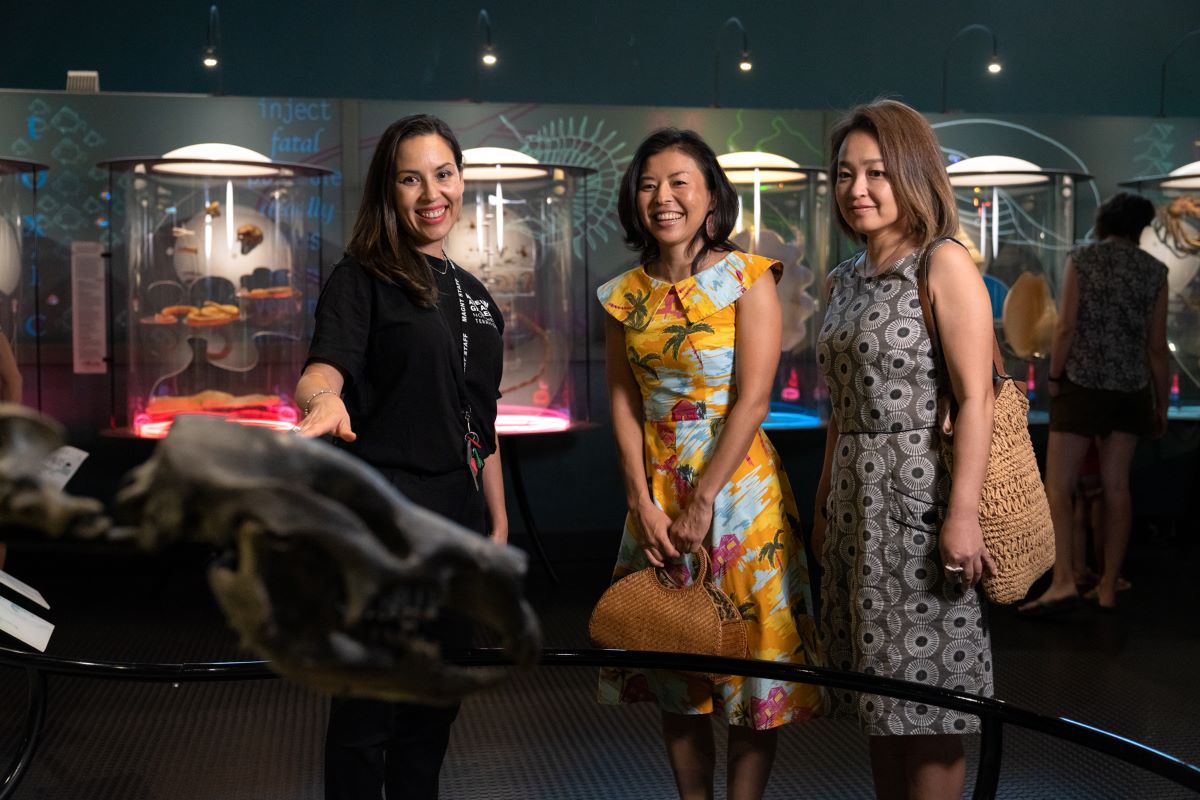 Museum employee and patron admire fossils at Museum and Art Gallery NT in Darwin Northern Territory