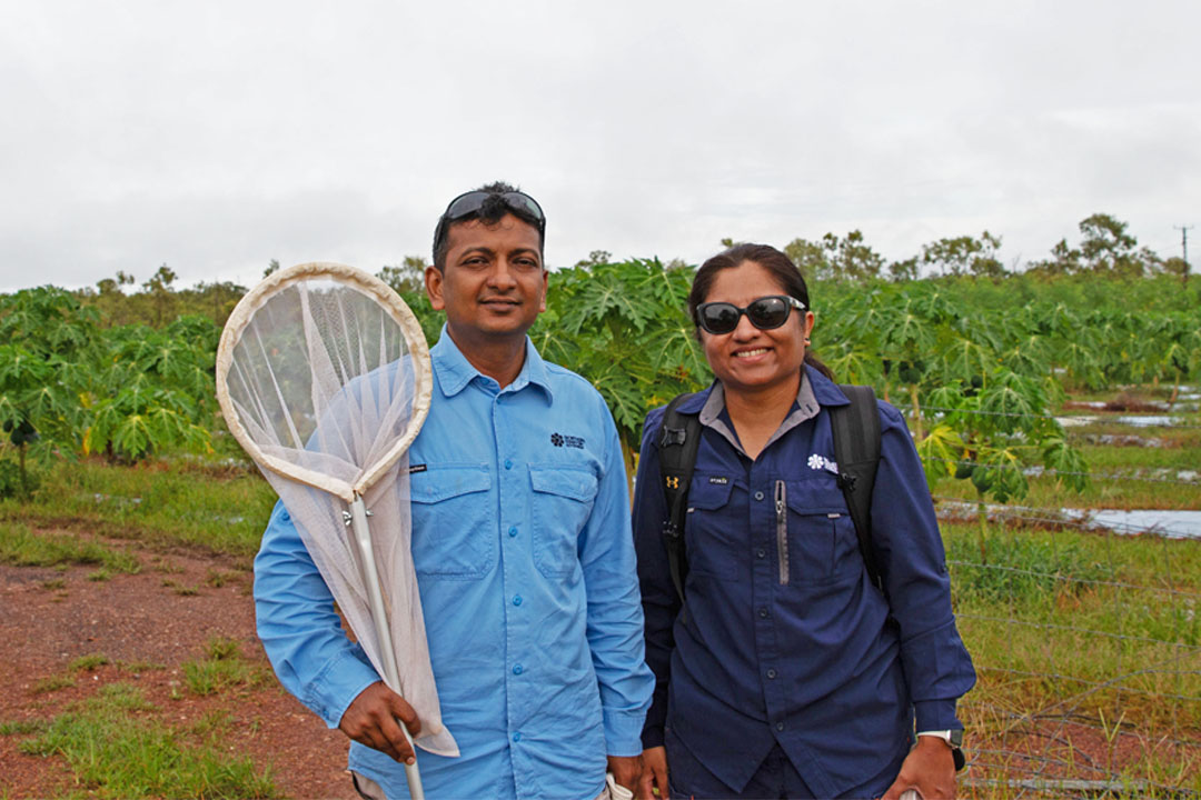 Ag and Fisheries workers with fishing net