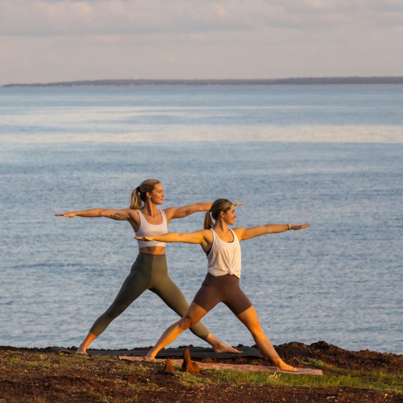 Two people doing yoga on mats by the water.