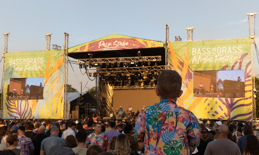Bass in The Grass