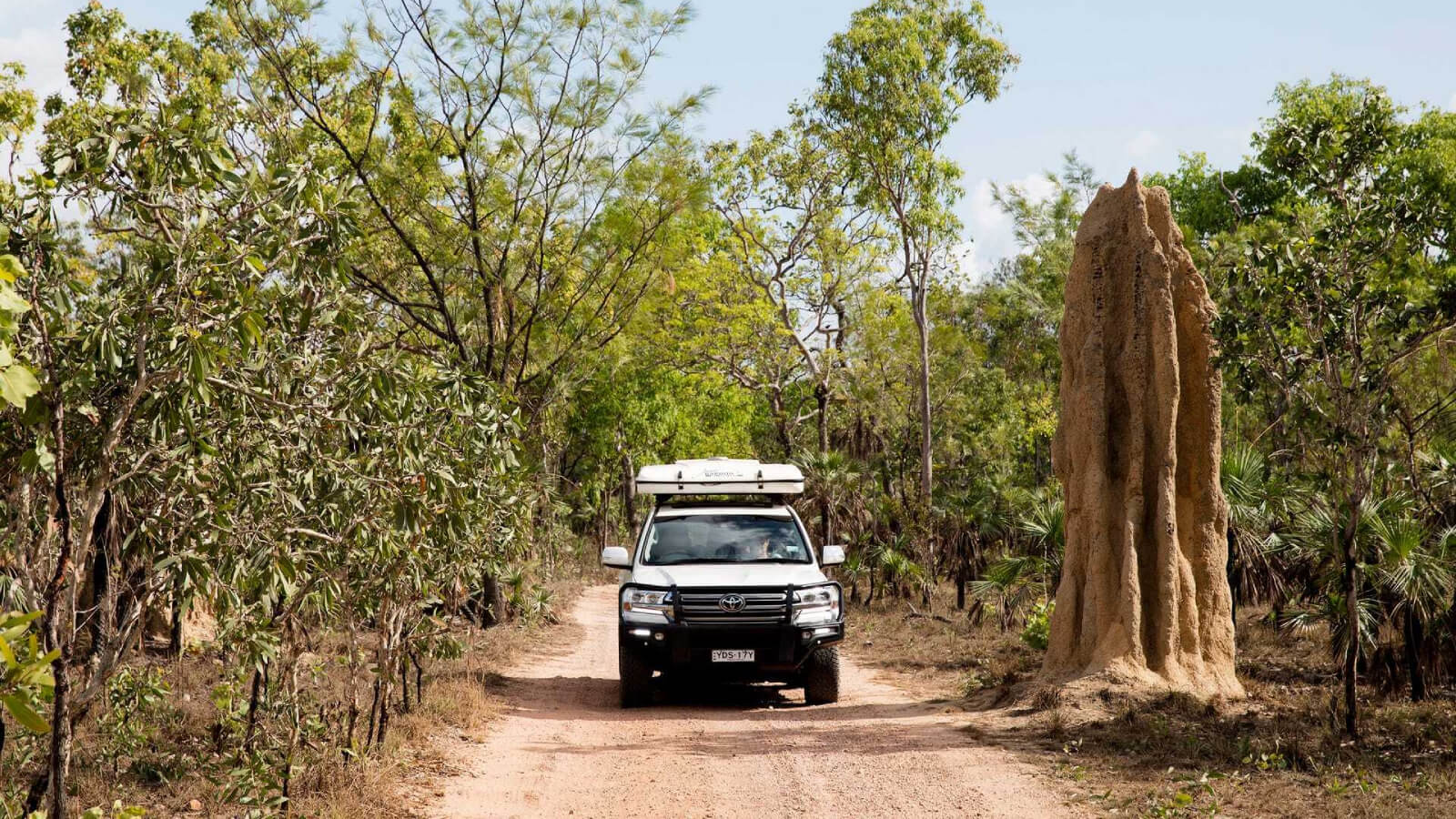 Car driving in Litchfield National Park