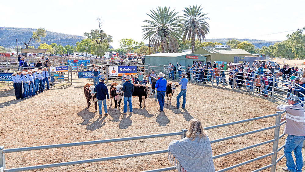 Alice Springs Show