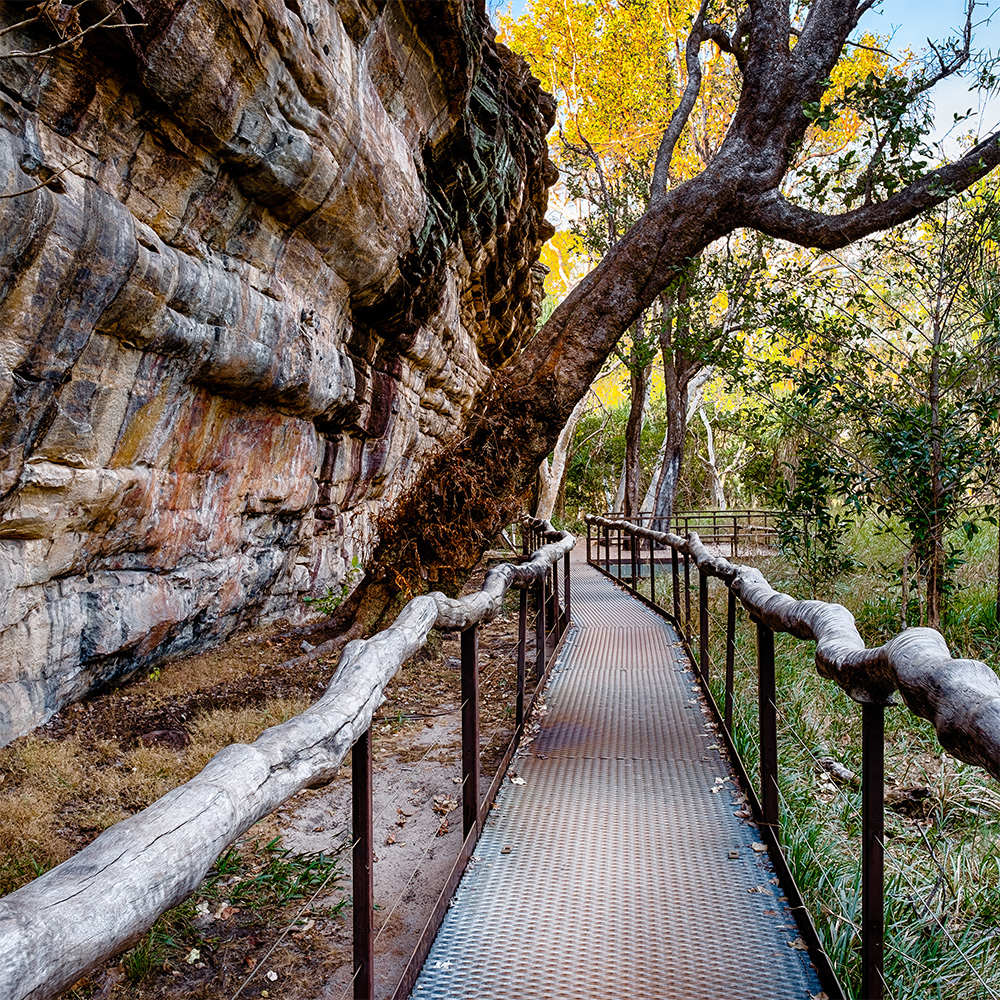 Kakadu path walkway near escarpment 