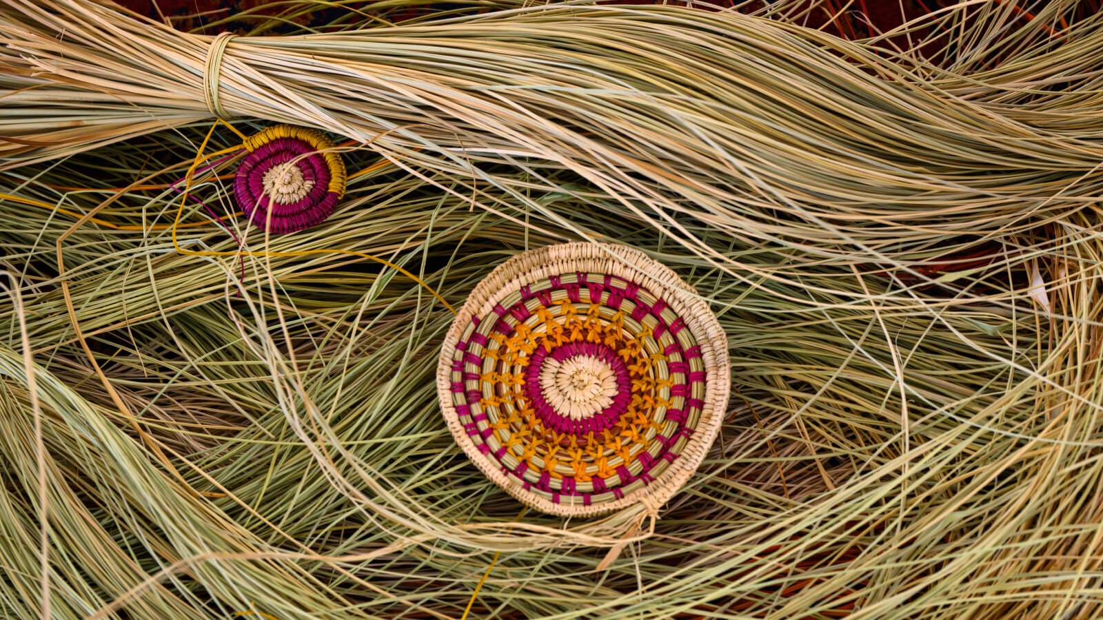 Weaving materials at Gunbalanya NT